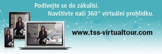 Trelle virtual 1